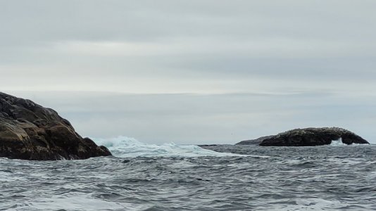 20240907_094613.jpg