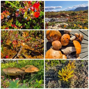 20240910_193102.jpg 20240910_193102.jpg