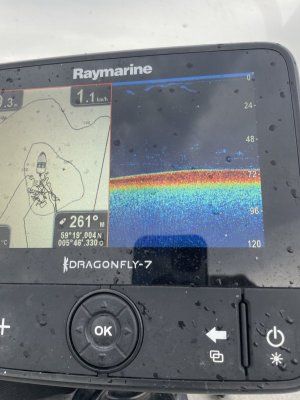 IMG_0611.jpeg