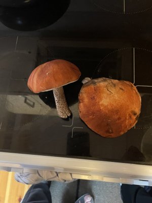 IMG_0653.jpeg