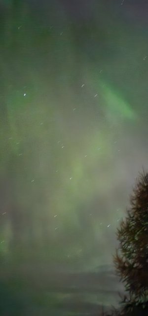 20240913_225900.jpg