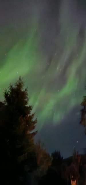 20240913_230038.jpg