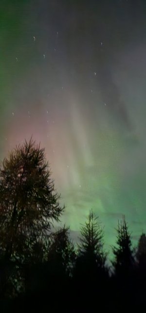 20240913_230104.jpg