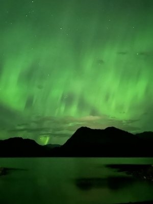 IMG_2968.jpeg IMG_2968.jpeg