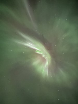 IMG_2967.jpeg IMG_2967.jpeg