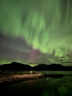 IMG_2962.jpeg IMG_2962.jpeg