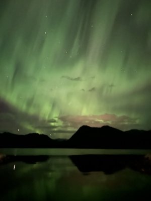 IMG_2963.jpeg IMG_2963.jpeg