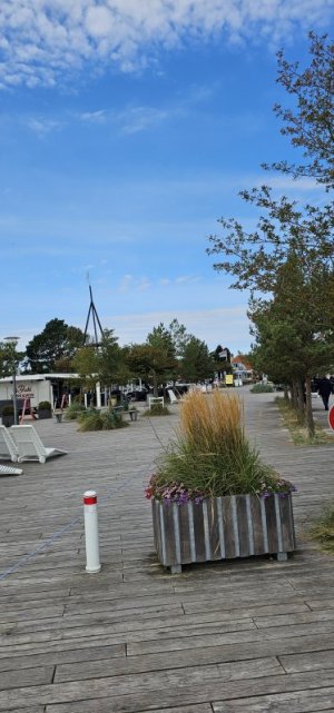 20240916_122523.jpg 20240916_122523.jpg