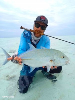 WhatsApp Image 2024-08-25 at 14.05.24 2.JPEG