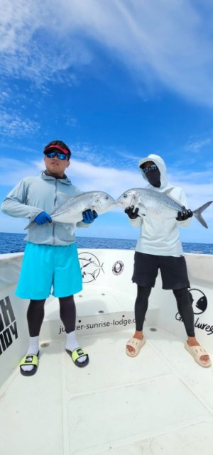 WhatsApp Image 2024-08-25 at 14.00.43.jpeg