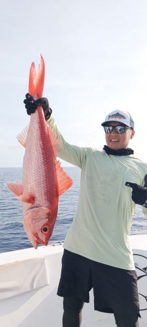 WhatsApp Image 2024-08-25 at 14.00.44 (3).jpeg