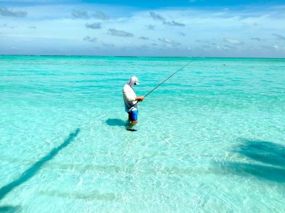 WhatsApp Image 2024-08-27 at 21.14.44.jpeg