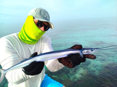 WhatsApp Image 2024-08-27 at 21.14.45.jpeg