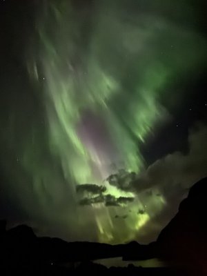 IMG_4411.jpeg IMG_4411.jpeg