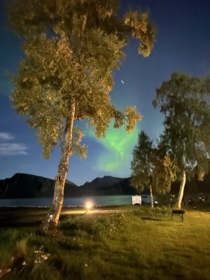 IMG_3047.jpeg IMG_3047.jpeg