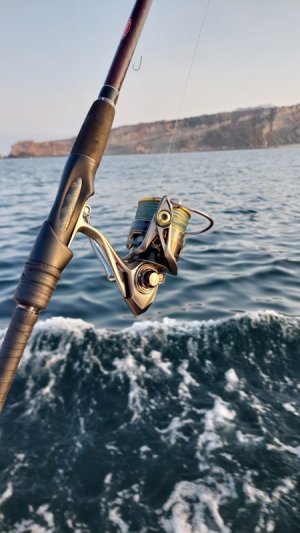 20240919_080704.jpg 20240919_080704.jpg