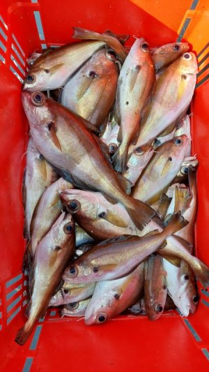 20240919_100546.jpg 20240919_100546.jpg