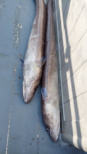 20240919_103618.jpg 20240919_103618.jpg