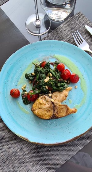 IMG-20240919-WA0017.jpg IMG-20240919-WA0017.jpg