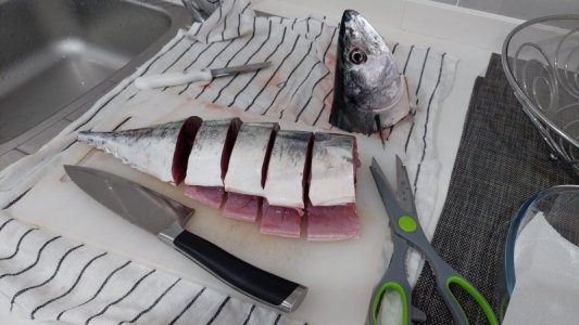 20240919_134826.jpg 20240919_134826.jpg