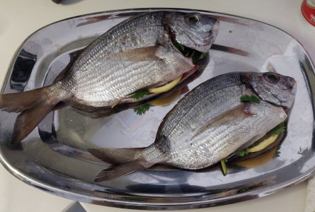 20240921_162728.jpg 20240921_162728.jpg