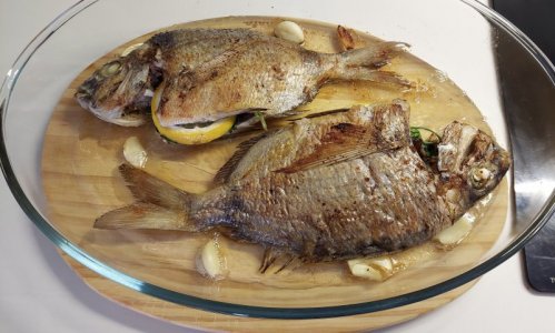 20240921_170155.jpg 20240921_170155.jpg