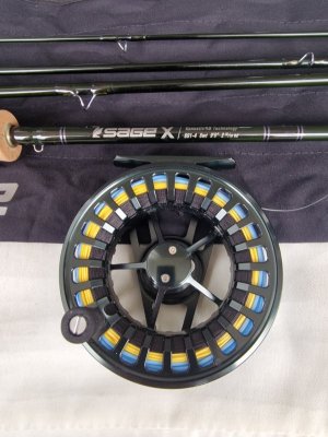 20240717_090526.jpg 20240717_090526.jpg