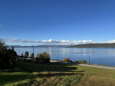 IMG_2953.jpeg