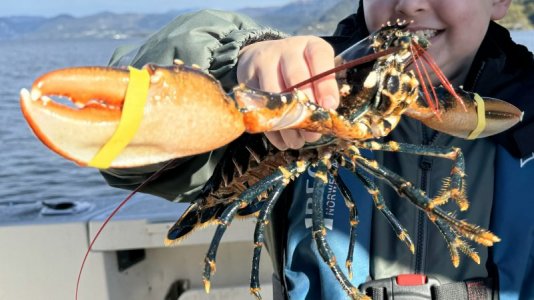 IMG_2039.jpeg IMG_2039.jpeg