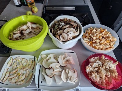 20241006_172640.jpg 20241006_172640.jpg