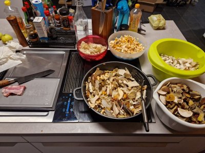 20241006_201602.jpg 20241006_201602.jpg