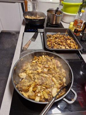 20241006_203807.jpg 20241006_203807.jpg