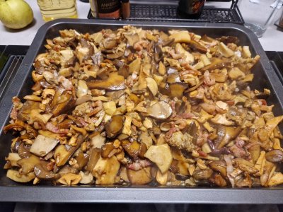 20241006_204417.jpg 20241006_204417.jpg