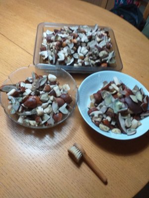 20241011_185302.jpg 20241011_185302.jpg