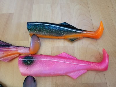 20241012_110445.jpg