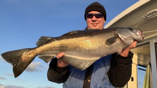 IMG_2185.jpeg IMG_2185.jpeg