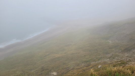 20241018_120456.jpg 20241018_120456.jpg