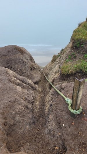 20241018_120523.jpg 20241018_120523.jpg