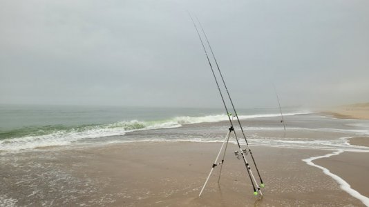 20241018_161545.jpg 20241018_161545.jpg