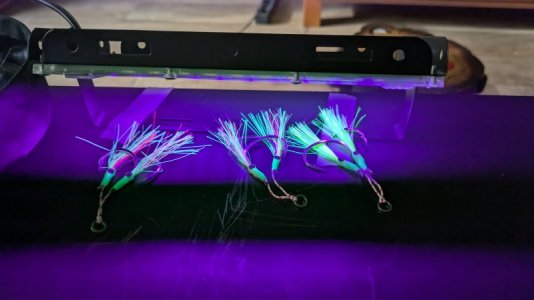 1000013948.jpg 1000013948.jpg