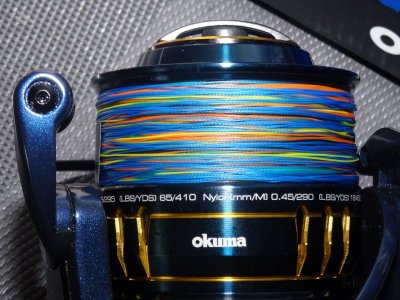 DSC07500.JPG DSC07500.JPG