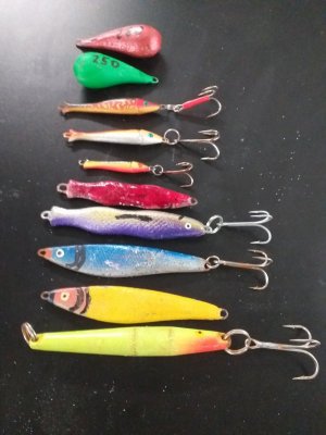 20240930_185204.jpg