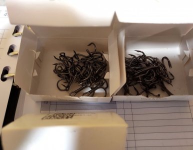 20241024_064211.jpg 20241024_064211.jpg