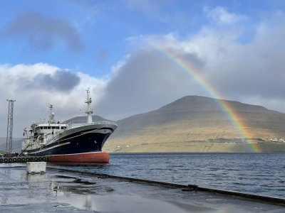 IMG_6923.jpeg IMG_6923.jpeg