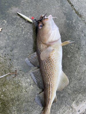 IMG_6917.jpeg IMG_6917.jpeg