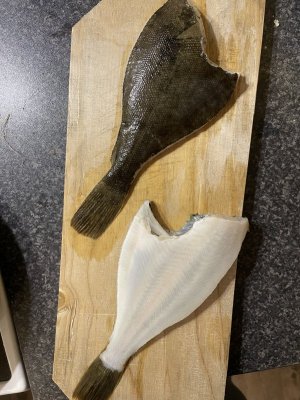 IMG_6915.jpeg IMG_6915.jpeg