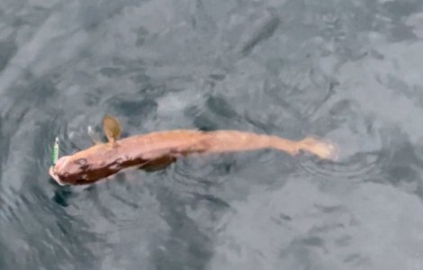 IMG_6945.jpeg IMG_6945.jpeg