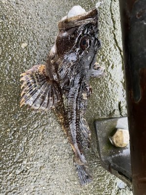 IMG_6888.jpeg IMG_6888.jpeg