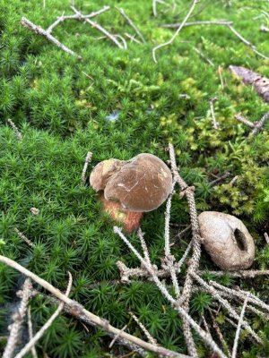 IMG_0279.jpeg