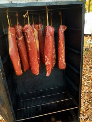 20241103_101816.jpg 20241103_101816.jpg